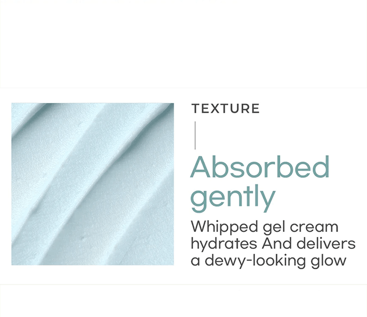 Moisturizer Face Cream